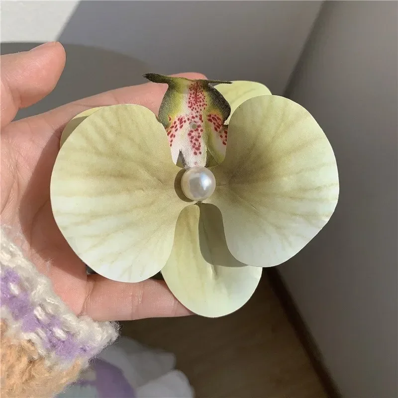 orchidee-blanche-delicate